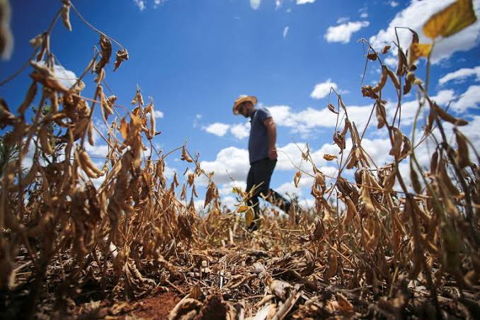 Quase 40% dos agricultores familiares já sacaram auxílio do SOS Estiagem no Estado
