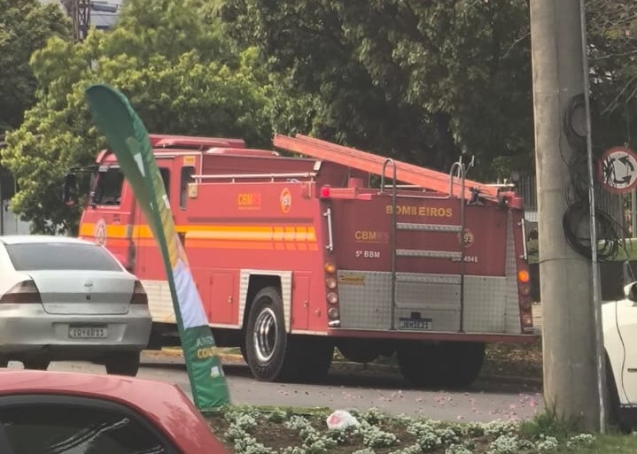 Bombeiros controlaram enxame de abelhas que atacou três pessoas em via pública nesta quarta-feira