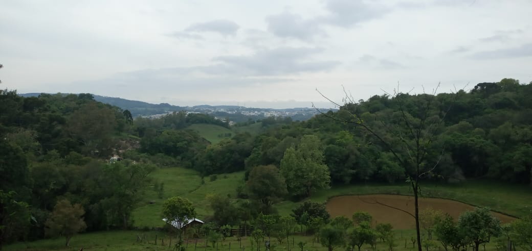 Sexta-feira terá chuva forte e risco de temporal em parte do Rio Grande do Sul