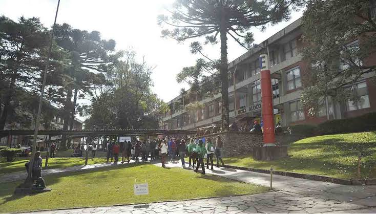 Concorra a 400 bolsas de estudos 100% gratuitas para cursar Licenciatura na UCS