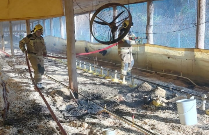 Princípio de incêndio em granja na Linha Marechal Deodoro foi atendido pelos Bombeiros