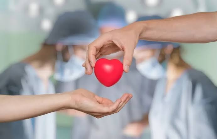 Lei institui política para incentivar doação e transplante de órgãos