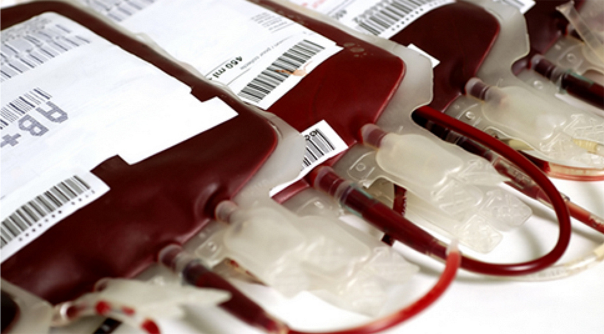 Hemocentro de Caxias precisa de doadores de sangue