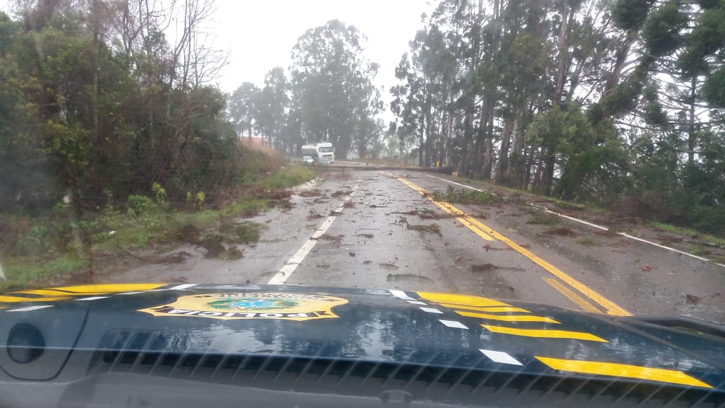 Após queda de árvores, trânsito foi liberado em Campestre da Serra