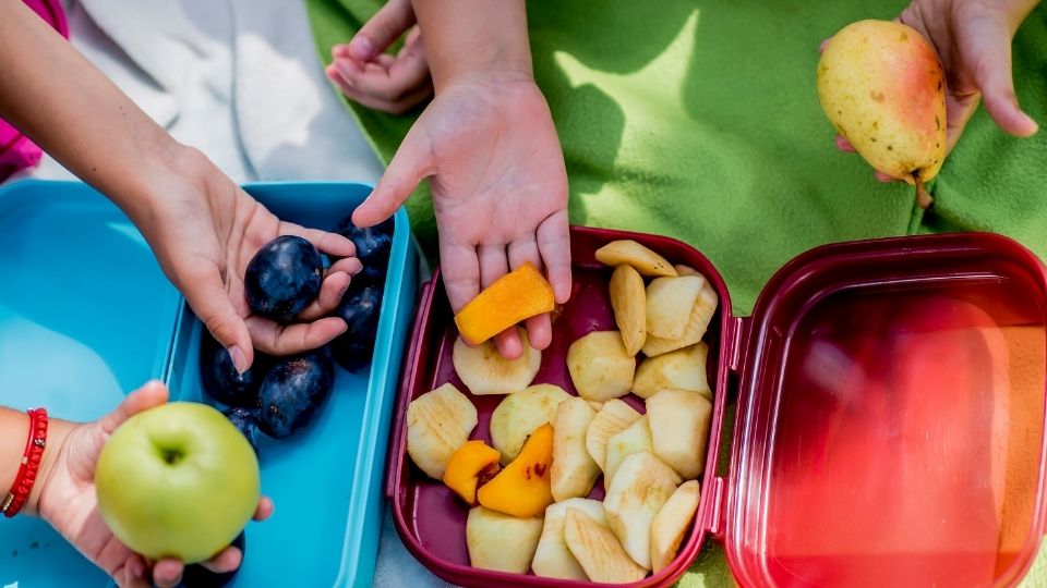 Lancheira escolar deve conter três grupos alimentares para suprir necessidades e ajudar no desenvolvimento infantil