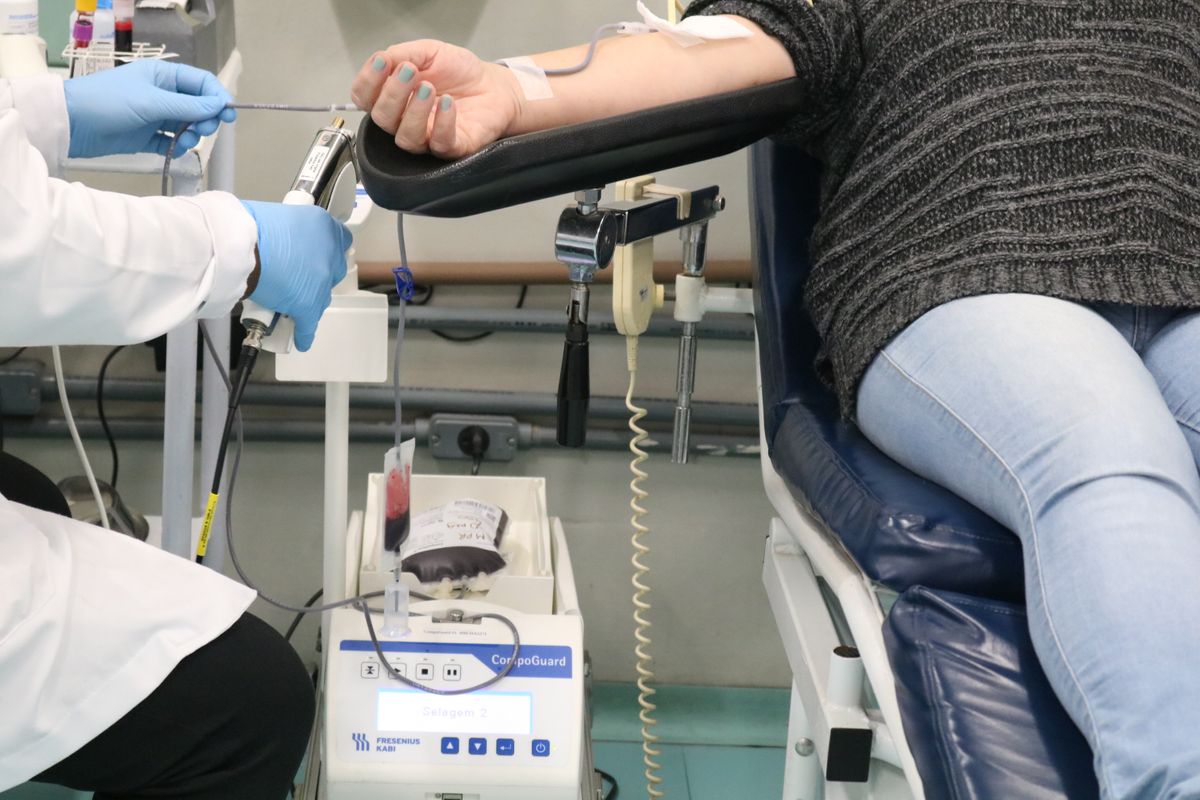 Hemocs amplia vagas para doação de sangue neste sábado devido à baixa nos estoques