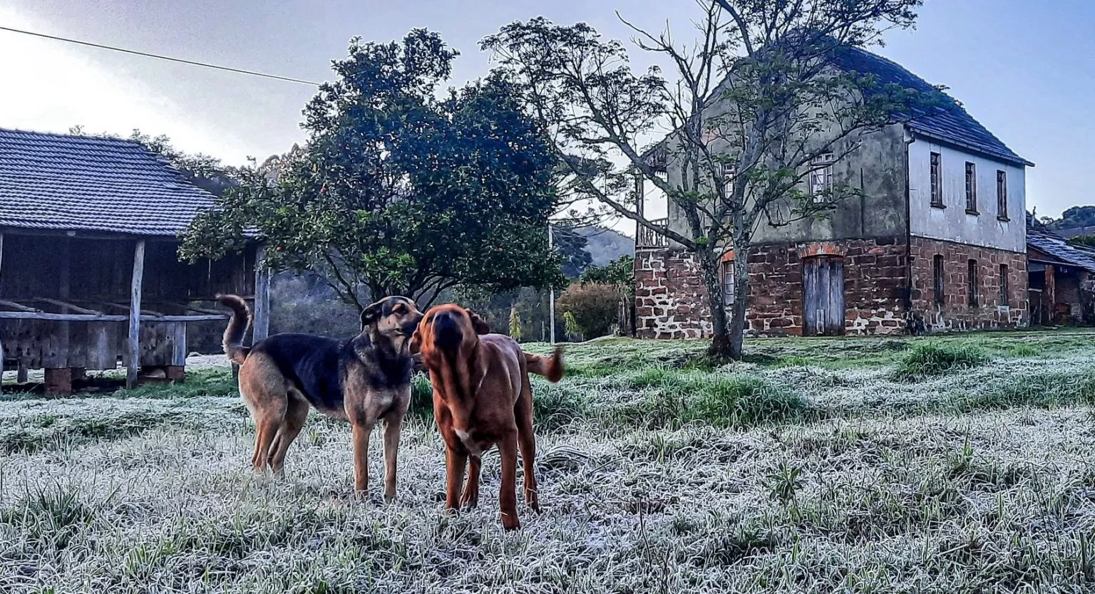 Semana invernal terá dias de chuva e muito frio
