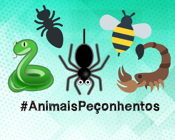 Secretaria da saúde reforça cuidados para evitar acidentes com animais peçonhentos