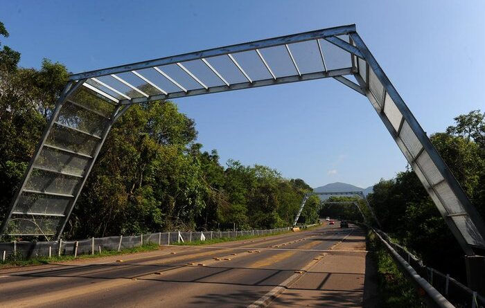 Ações para monitoramento da fauna vão ocasionar bloqueios a partir de terça (7) em Itati