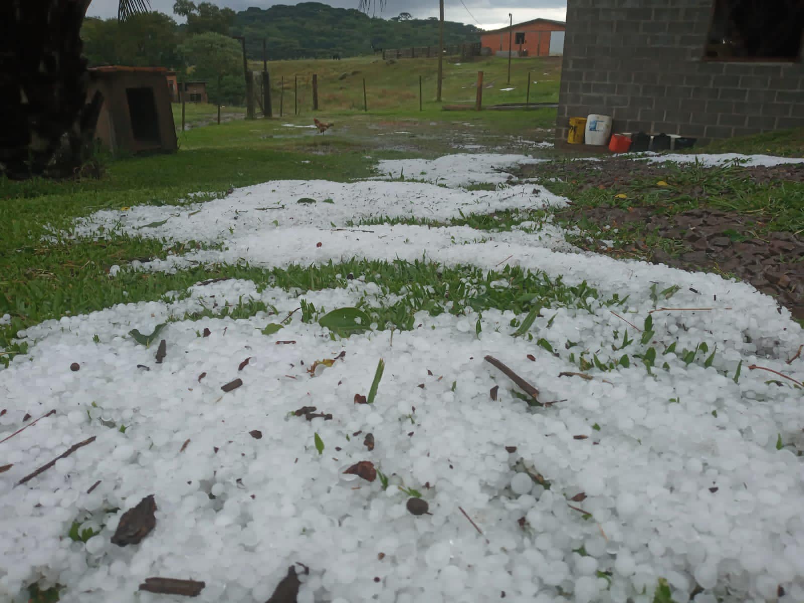 Granizo causa danos e leva prejuízos aos pomares da Serra Gaúcha
