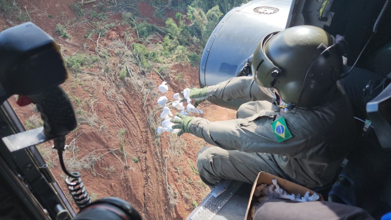 Cinco milhões de sementes são lançadas de helicóptero em áreas degradadas no Vale do Taquari