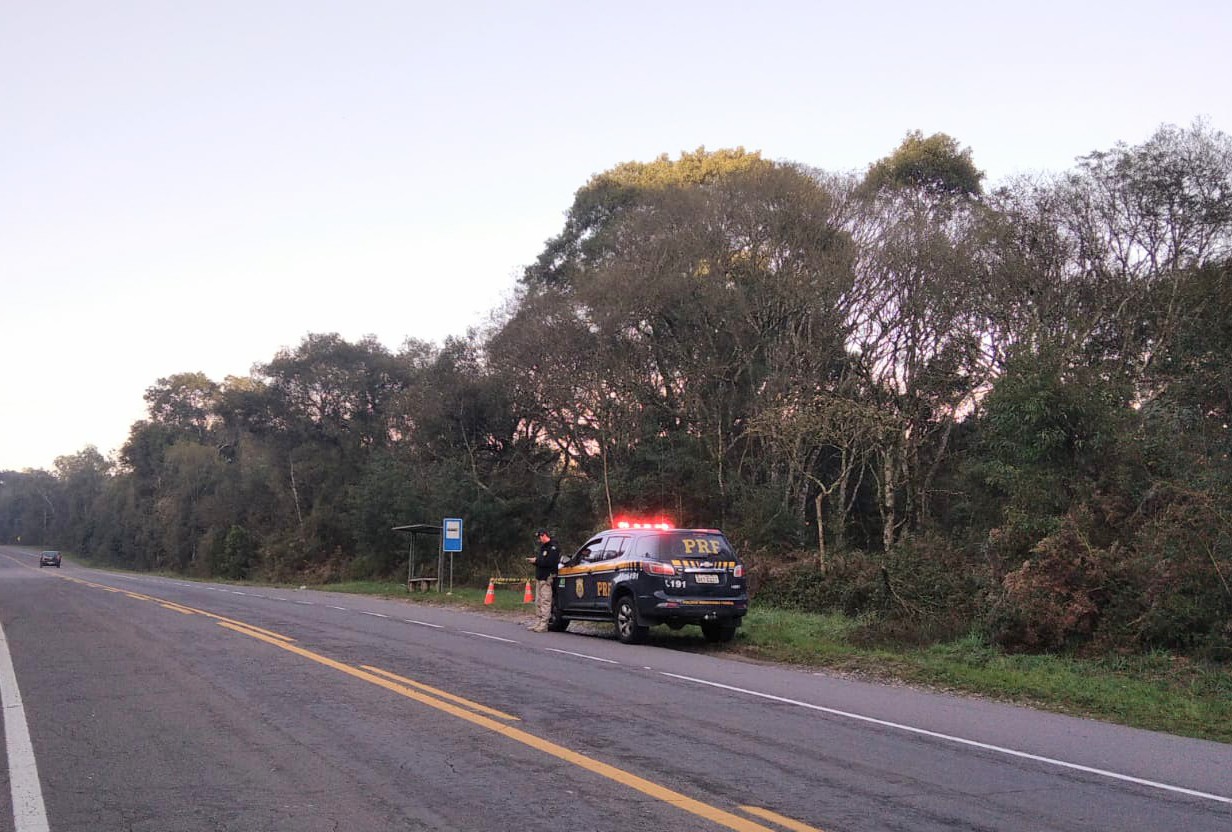 PRF atende atropelamento com óbito próximo da Parada Cristal