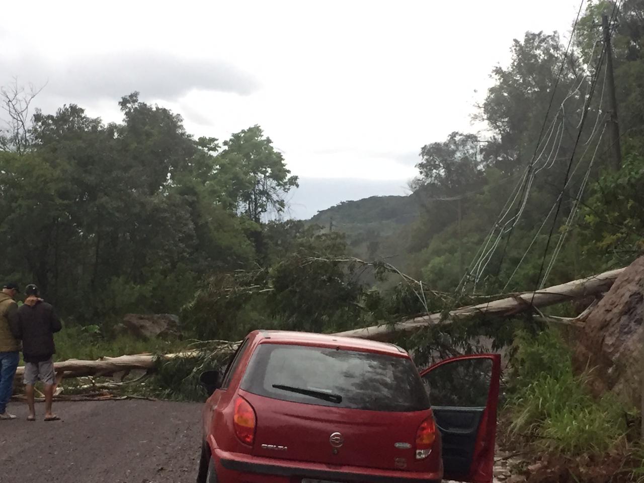 Trânsito interrompido na estrada de Santo Henrique devido à queda de árvores
