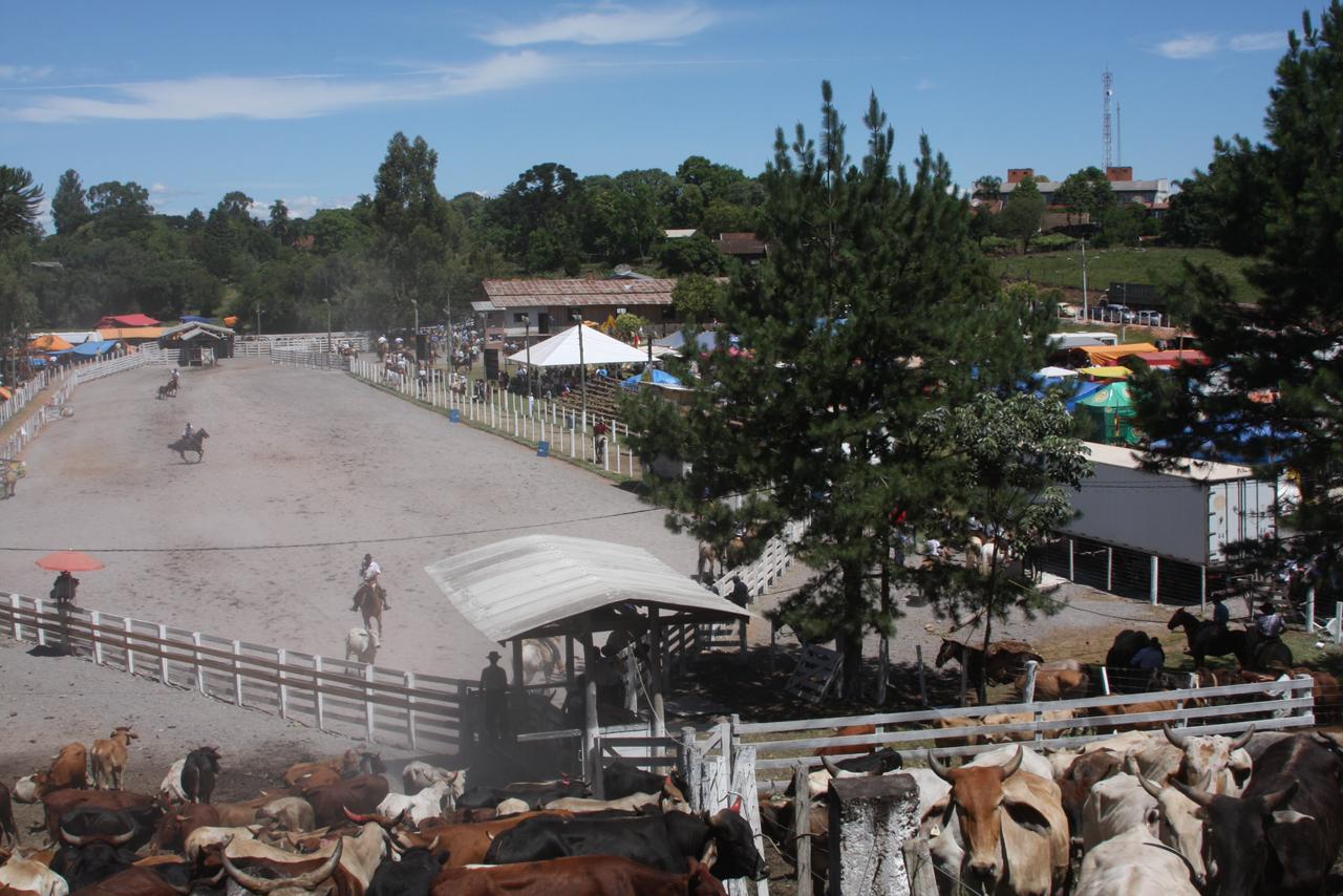VIII Rodeio Crioulo Nacional de Criúva celebra tradição gaúcha de 5 a 8 de dezembro