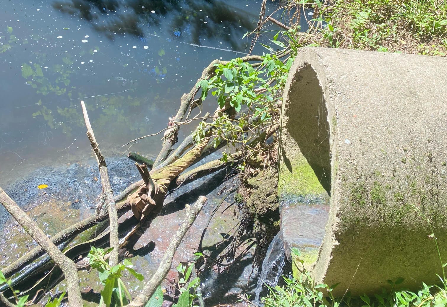 Devolvam o Arroio Gravatá para a cidade
