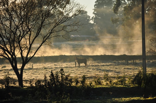 Sol aparece mas o frio persiste nesta sexta-feira