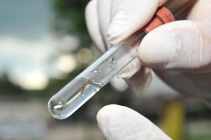 Com mais um óbito confirmado, Estado registra dezenove mortes por dengue em 2023