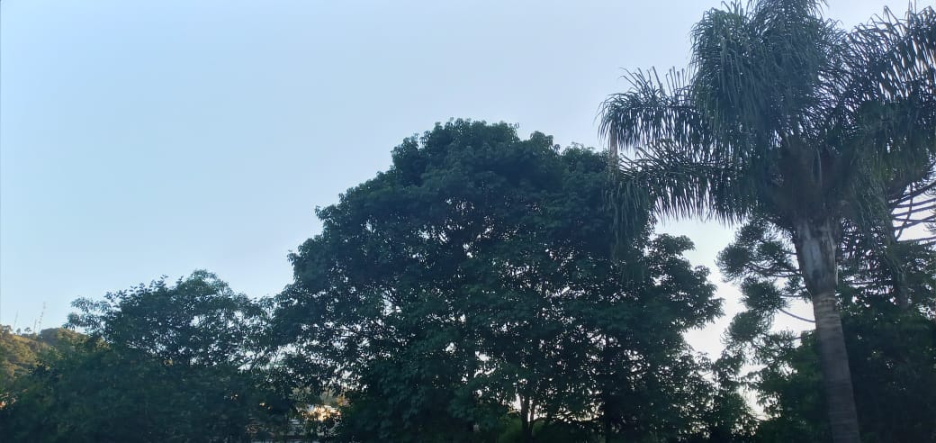 Sol e forte calor devem predominar neste domingo no RS