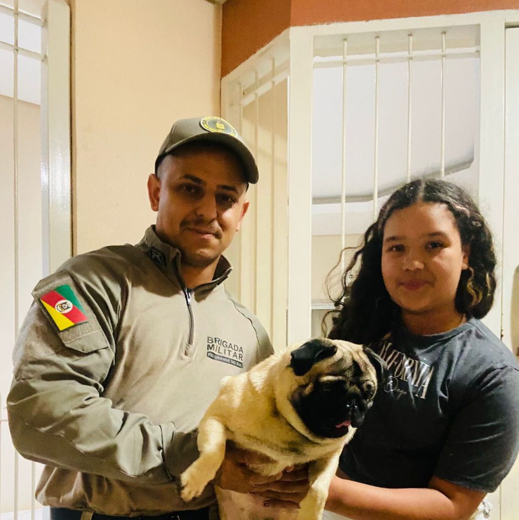 Cão desaparecido é recuperado pela Brigada Militar após tentativa de venda