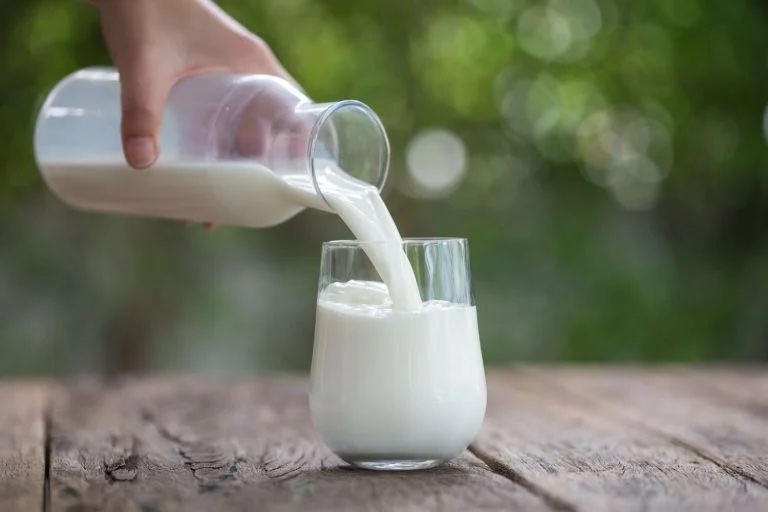 Dia Mundial do Leite: 10 motivos para incluir o leite na alimentação diária