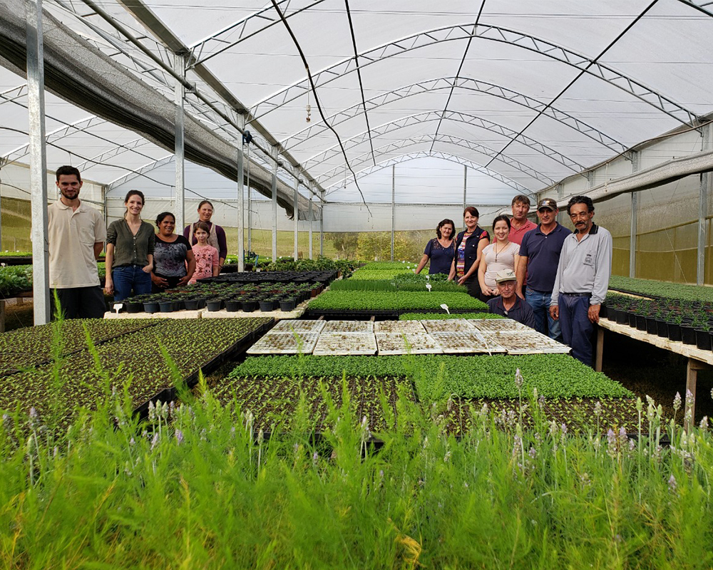 Prefeitura promove cursos de capacitação para agricultores