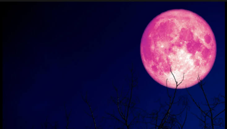 Superlua rosa poderá ser vista do Brasil nesta quinta-feira (6)