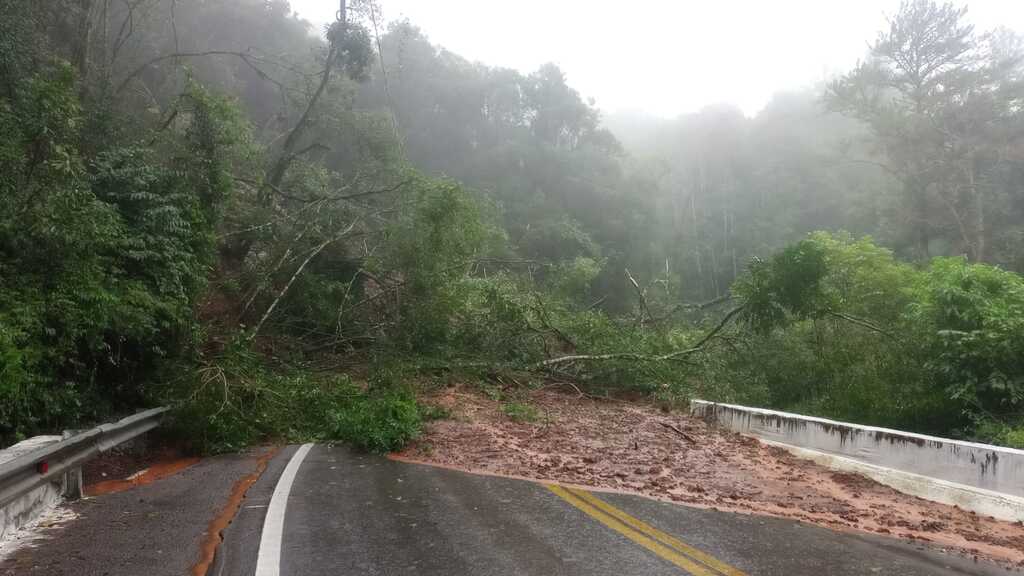 Defesa Civil apresenta pesquisa sobre percepção de riscos de desastres
