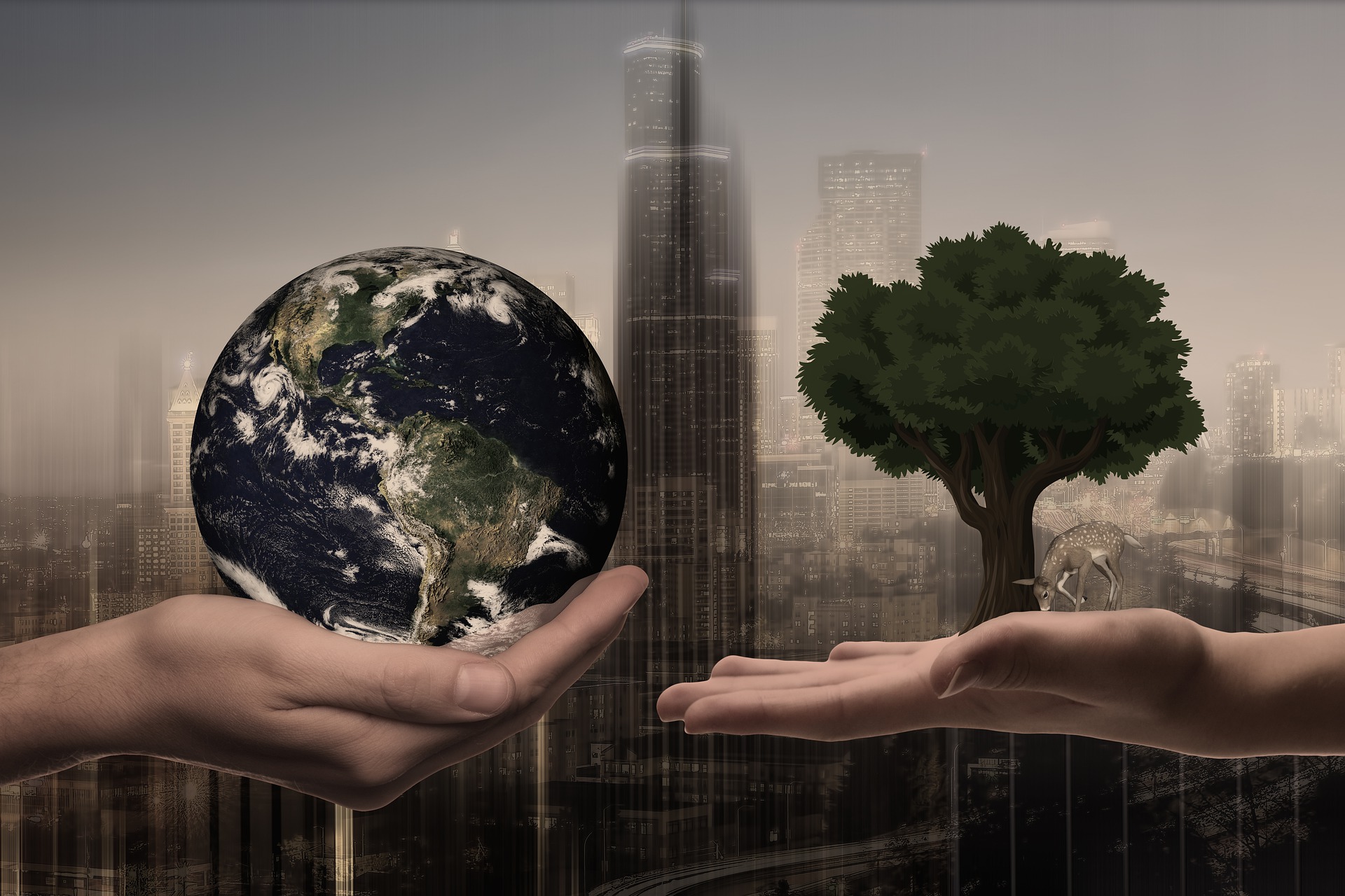 Em busca de uma Sociedade Sustentável com Estratégias de Sustentabilidade