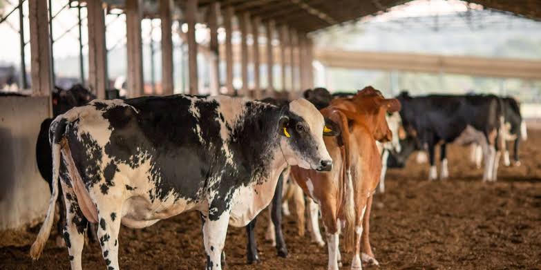 Sinal AGRO visa combater crimes em propriedades rurais