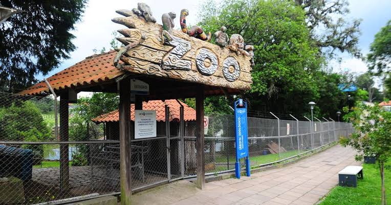 Visitas ao Zoológico da UCS são suspensas temporariamente a partir deste sábado, dia 17