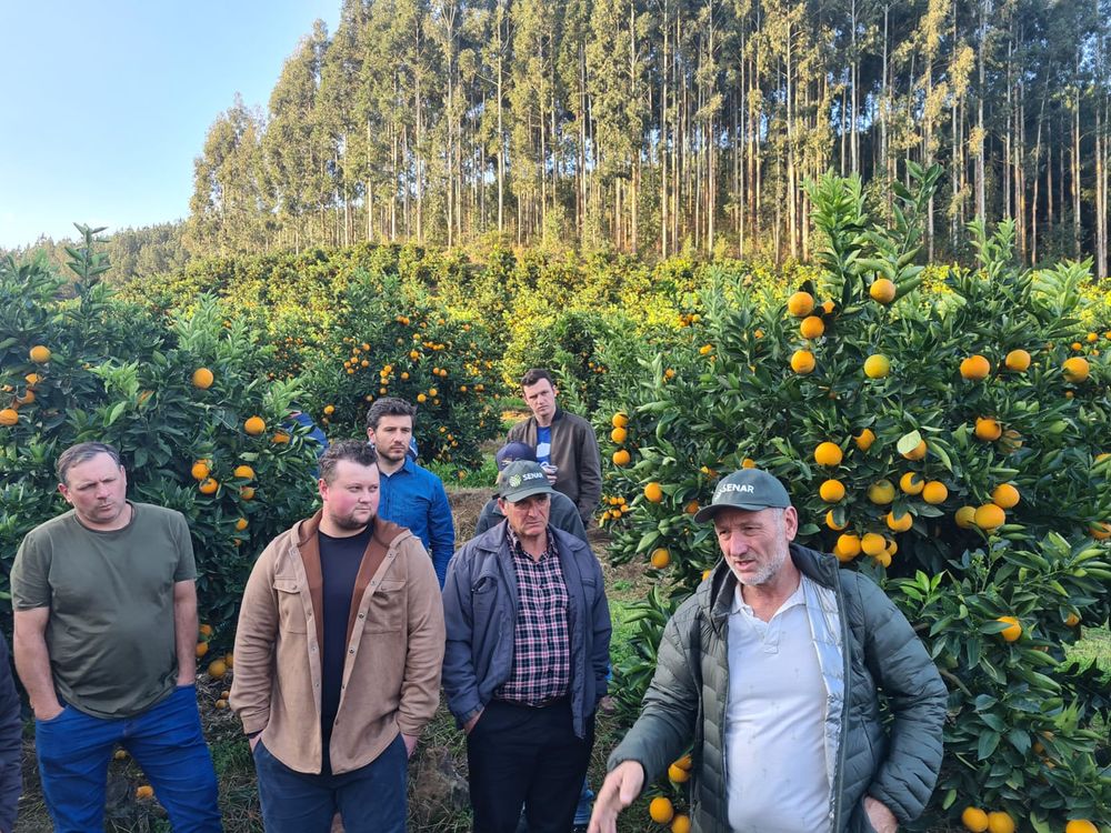 Encontro sobre frutas cítricas reuniu cerca de 100 agricultores em Criúva