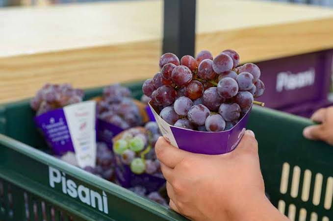 Festa da Uva vai distribuir de 150 a 200 mil quilos de uvas