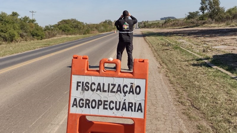 Vigilância ativa e investigação de notificações sustentam o primeiro ano do novo status da aftosa no RS