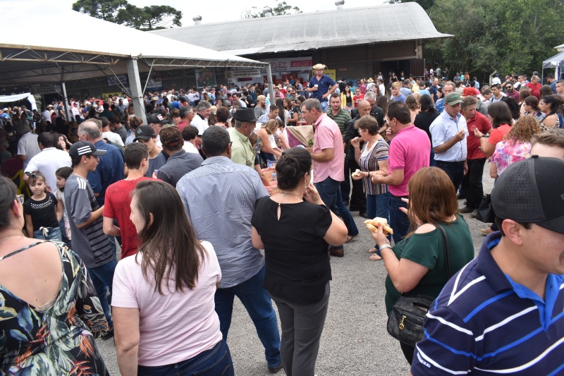 Tudo pronto para a 14ª Festa Municipal da Uva na Capela da Saúde, em Campestre da Serra