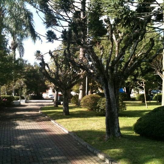 Sol aparece e predomina ao longo do dia em todas as regiões gaúchas