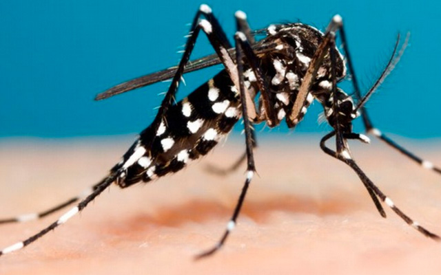 Vigilância Epidemiológica de São Marcos confirma 1º caso autóctone de dengue