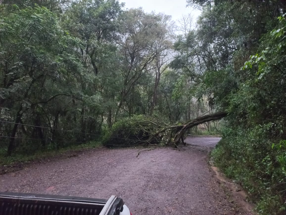 Trânsito bloqueado na Estrada 500 em Santo Henrique