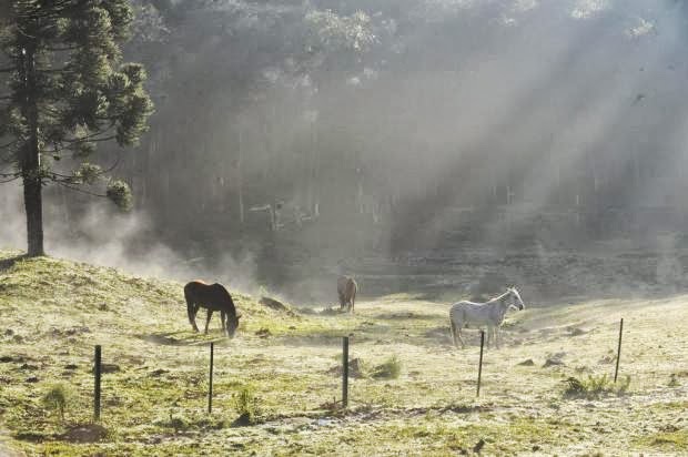 Sábado será de frio em todo o Rio Grande do Sul