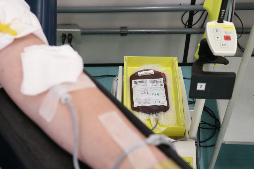 Hemocs registra quase 6 mil doações de sangue no primeiro semestre de 2022