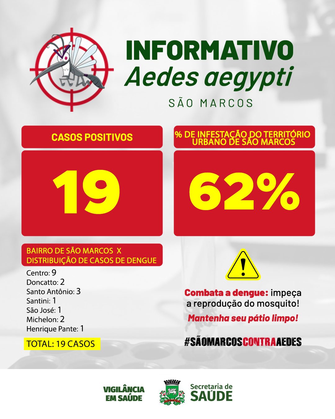 Em 10 dias, São Marcos teve duas internações por dengue
