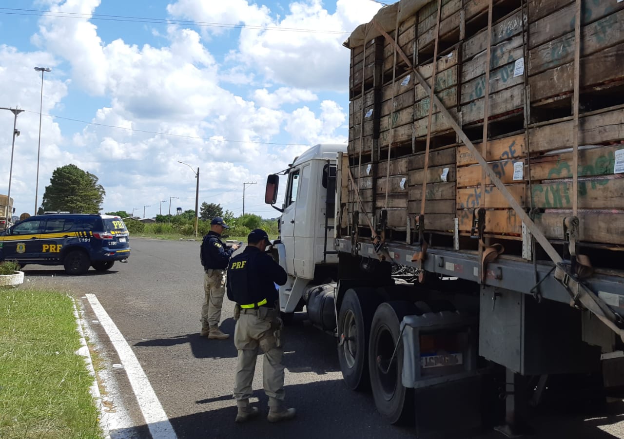 Caminhoneiros podem ser vacinados contra a gripe em unidades da PRF