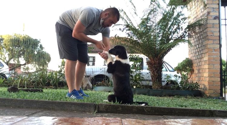 Já imaginou poder desfrutar da presença do seu melhor amigo em locais públicos sem preocupações?
