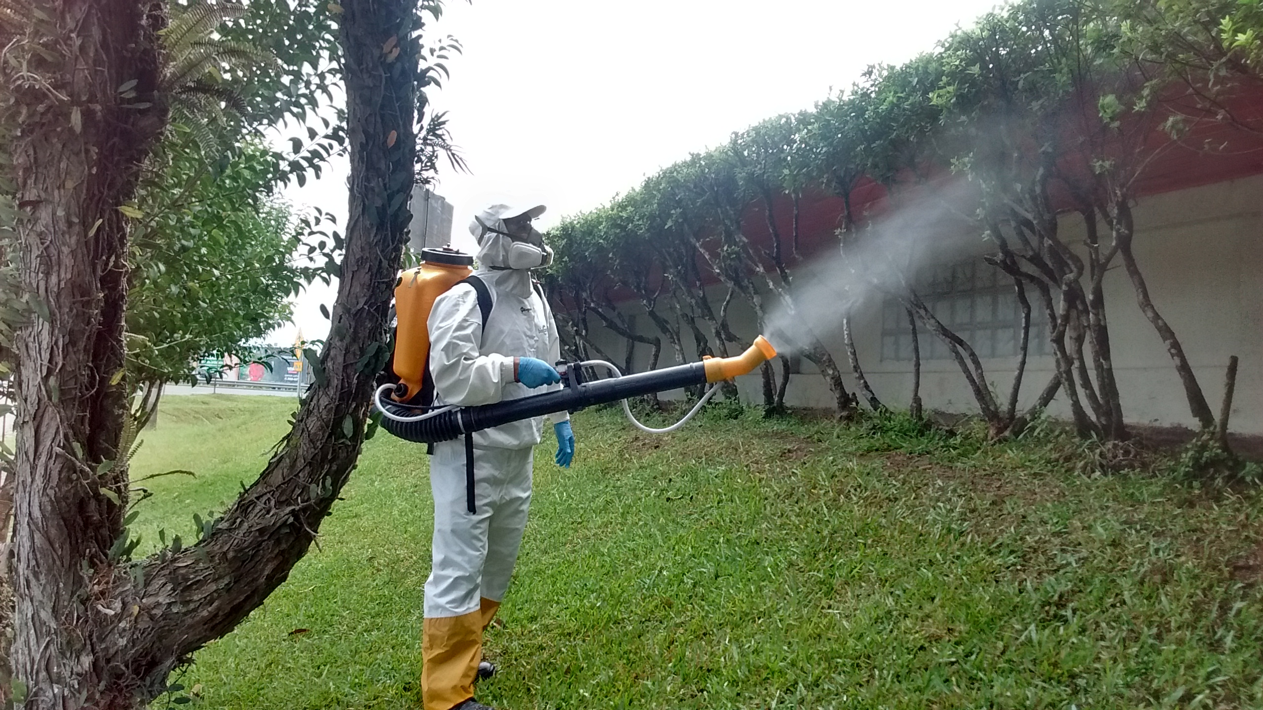 Dedetização pode ser arma eficaz no combate ao mosquito da Dengue