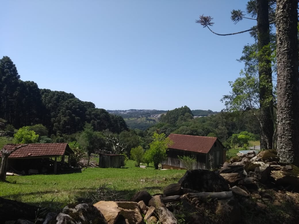 Sábado será de sol e temperaturas amenas no RS