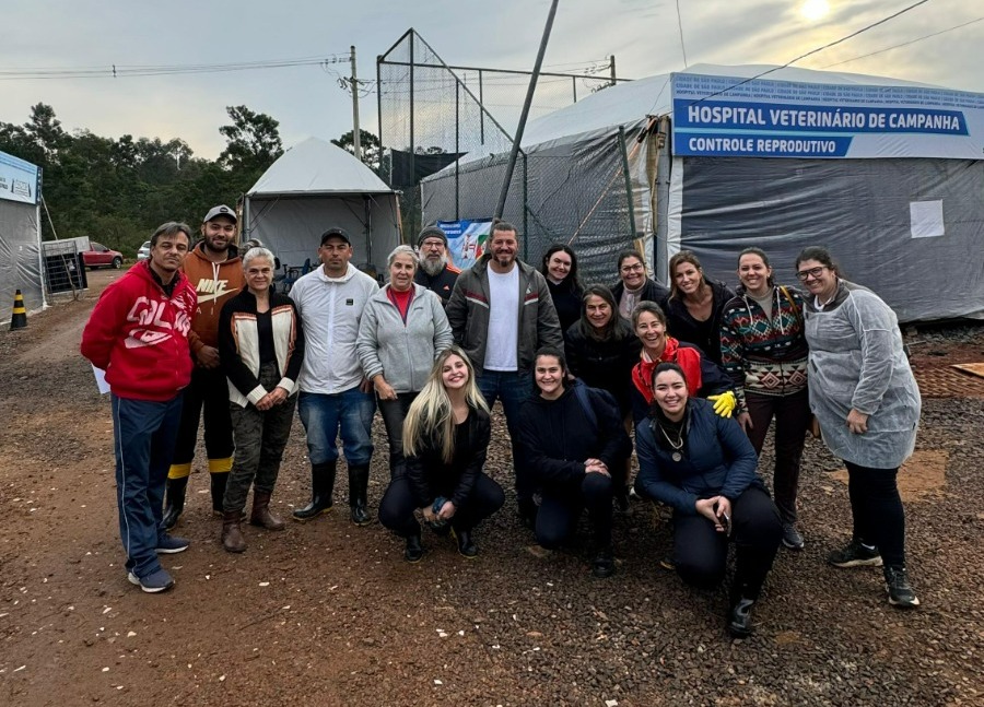 São-marquenses se unem a voluntários em Canoas para ajudar animais vítimas das enchentes