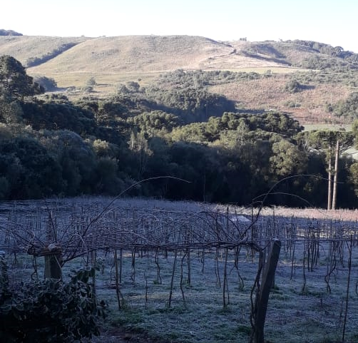 Tempo seco e muito frio neste fim de semana