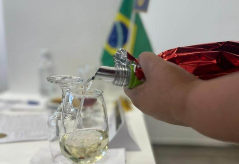 Concurso Brasileiro de Vinhos de Mesa começa hoje em Bento Gonçalves