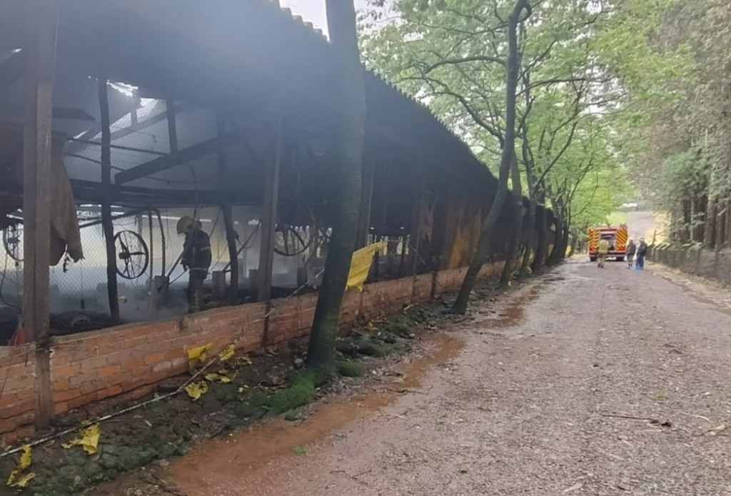 Incêndio devasta aviário de perus em Pedras Brancas