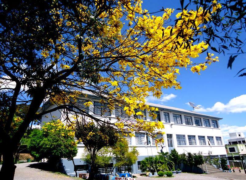 Após recesso escolar, estudantes retornam às aulas nesta segunda-feira (31)