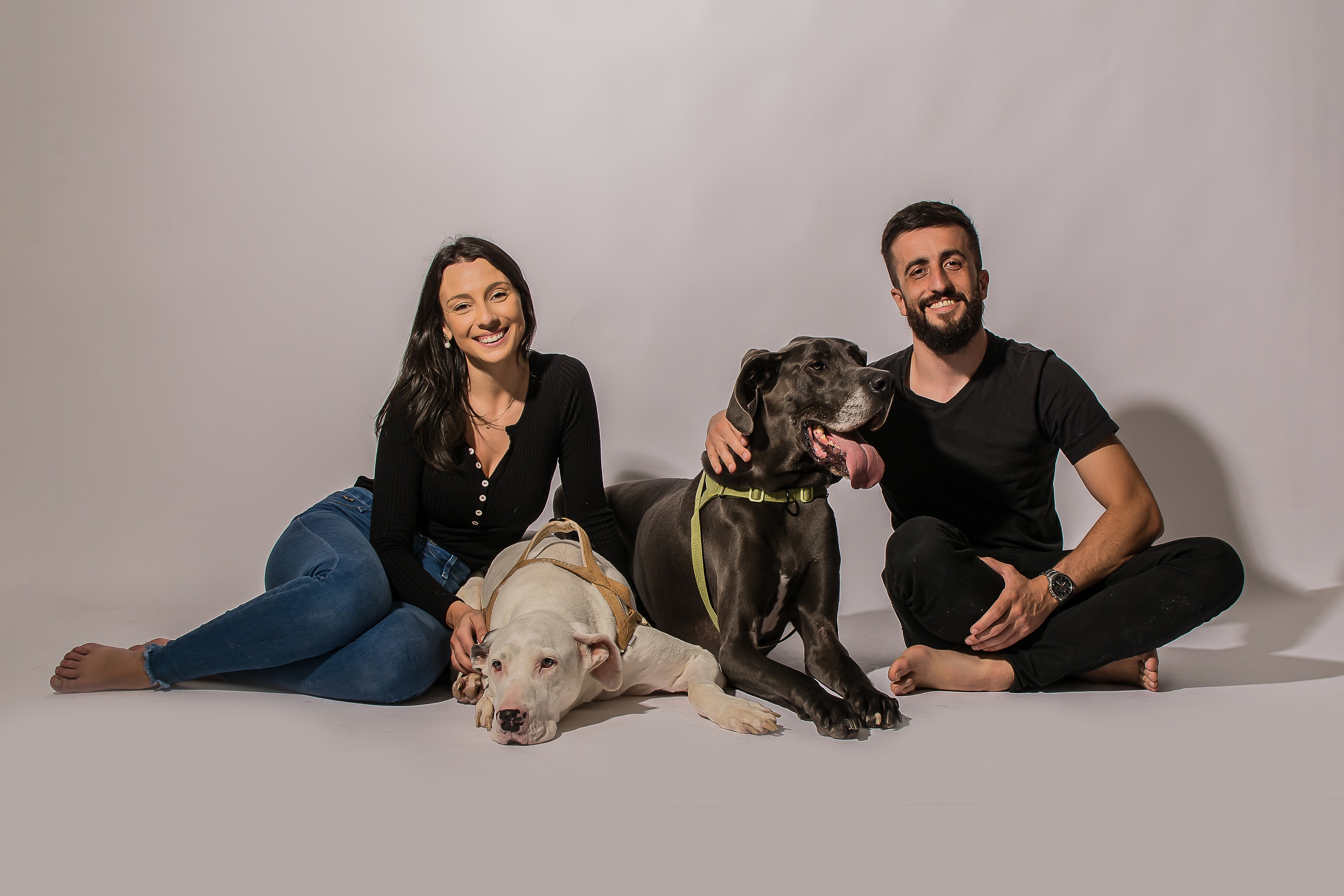 A bordo de um motorhome, casal de Caxias do Sul fará viagem até à Patagônia com seus dois dogues alemães